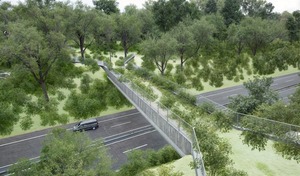 Viaducto para animales silvestres busca unir ecosistemas fragmentados - La Clave