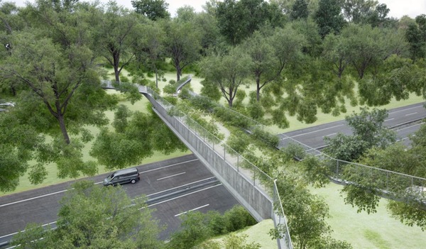 Viaducto para animales silvestres busca unir ecosistemas fragmentados - La Clave