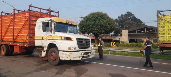 Tragedia en Pedrozo: Dinatran y Caminera inician controles permanentes - Nacionales - ABC Color