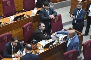 Jubilación Vip: Senado analiza salvataje a caja parlamentaria  - Política - ABC Color