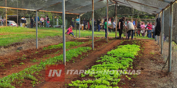 MUNICIPALIDAD DE CAMBYRETÁ ENTREGÓ PLANTINES A PEQUEÑOS PRODUCTORES - Itapúa Noticias