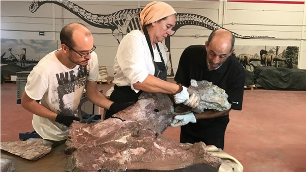 Arqueólogos descubren nueva especie de titanosaurio en España