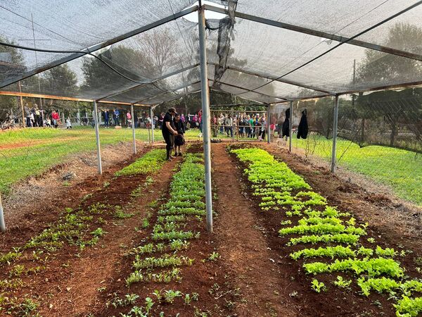 110 Personas Beneficiadas con Plantines para Huerta Familiar en Arroyo Porã