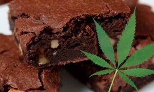 Le dijeron que era de “chocolate”: joven sufre intoxicación tras consumir torta de marihuana – Prensa 5