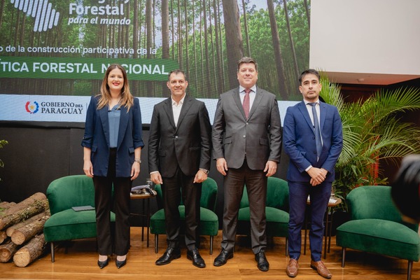 INFONA inicia proceso de participación para generar una Política Forestal Nacional - ADN Digital