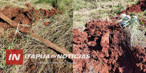 DENUNCIAN A HOMBRE QUE DERRIBA POSTES Y CORTA ALAMBRES POR DIVERSIÓN - Itapúa Noticias