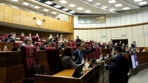 Senadores repudian a Maduro y piden reconocer a opositor