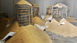 Paraguay y Uruguay se culpan por contaminación de carga con droga