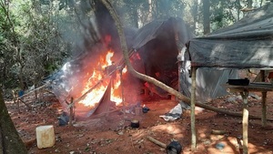 SENAD y CODI destruyen 14 campamentos narcos en Canindeyú