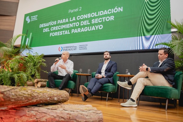 INFONA lanza proceso participativo para la construcción de la Política Forestal Nacional