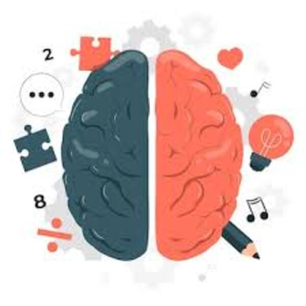 Cerebro y depresión - El Independiente