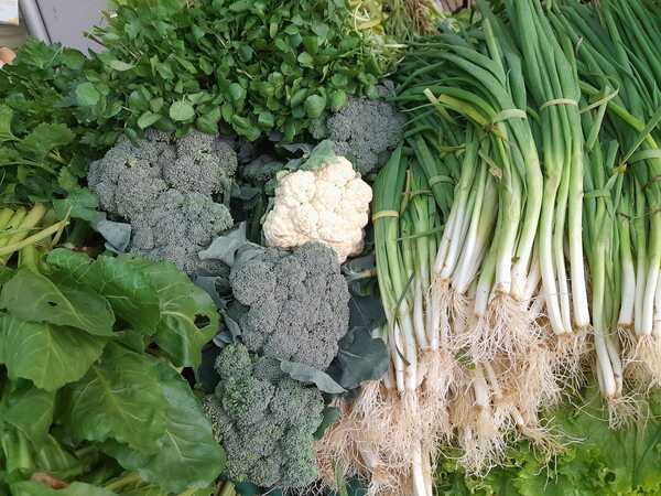 Familias de varios distritos del país ofertan productos del campo sin intermediarios en San Lorenzo - .::Agencia IP::.