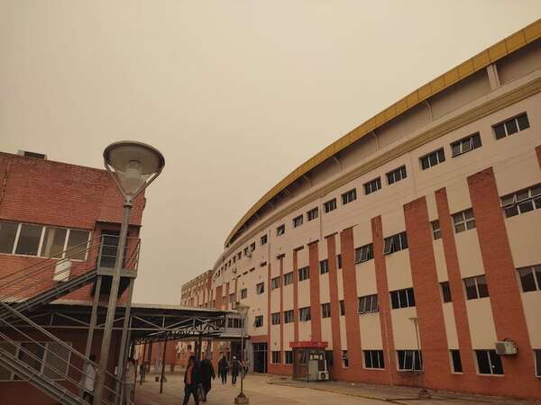 Calidad del aire: rinitis y asma son las afecciones más comunes - Nacionales - ABC Color