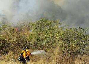 Ministerio del Ambiente: hay ocho focos de calor detectados en el Chaco - Noticias del Chaco - ABC Color