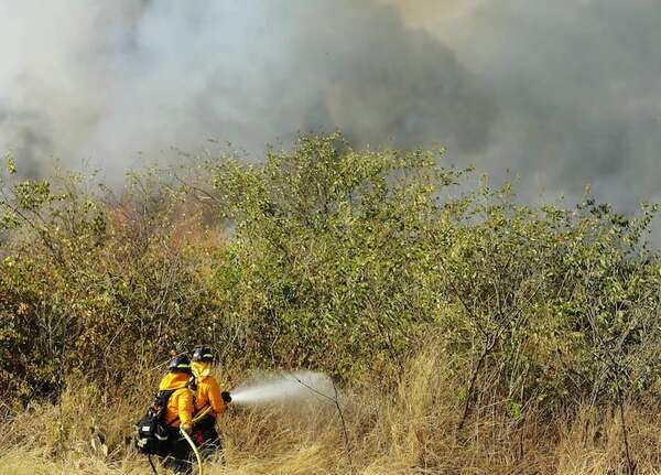 Ministerio del Ambiente: hay ocho focos de calor detectados en el Chaco - Noticias del Chaco - ABC Color
