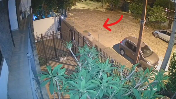 Le robaron su auto frente a su casa en menos de cuatro minutos