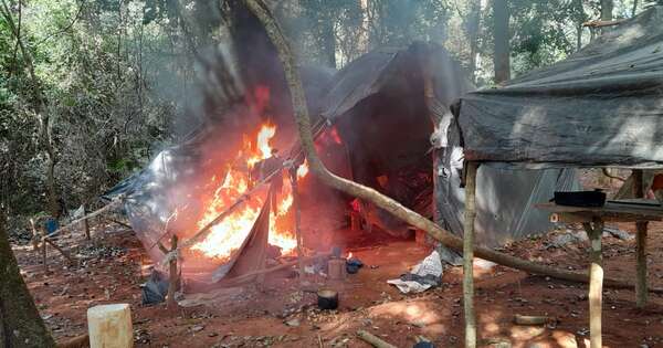 Diario HOY | Golpe a narcos: destruyen 14 campamentos en Canindeyú