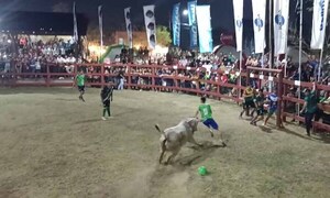 Jugar fútbol y evitar ser “corneado”: el ‘futi-boi’ causa furor en Concepción – Prensa 5