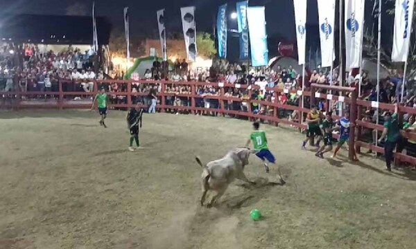 Jugar fútbol y evitar ser “corneado”: el ‘futi-boi’ causa furor en Concepción – Prensa 5