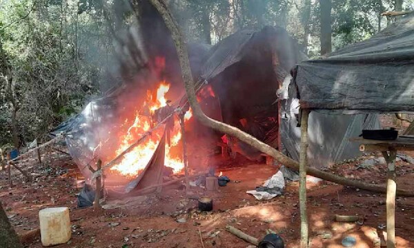 Golpe a narcos: destruyen 14 campamentos en Canindeyú – Prensa 5