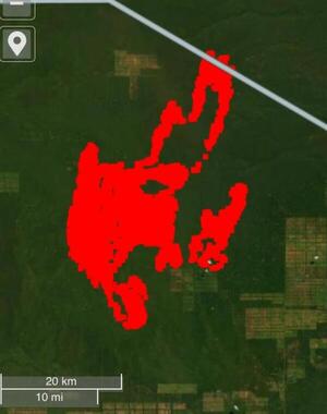 Se encienden nuevamente las alertas por incendios en el Alto Paraguay