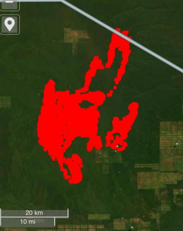 Se encienden nuevamente las alertas por incendios en el Alto Paraguay