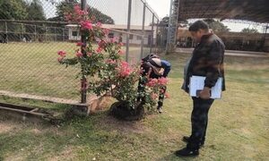Realizan visitas de monitoreo en instituciones educativas de Hernandarias