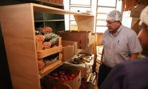 Realizan lanzamiento del Programa Nacional de Alimentación Escolar «Hambre Cero» en Alto Paraná