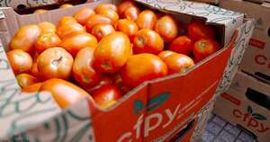 La Nación / Hambre Cero: MAG celebra acuerdo de venta entre productores de tomate y proveedores