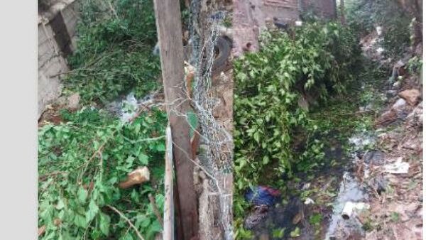 Cortó el árbol de su vecina sin permiso, dejó las ramas en un arroyo y ella se vengó