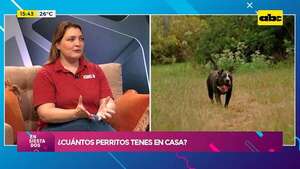 ¿Cuántos perros tenés en casa? Los perros que están acompañados pueden vivir más - Ensiestados - ABC Color