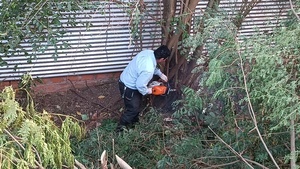 Concluyen los trabajos de limpieza en el muro de contención en Concepción
