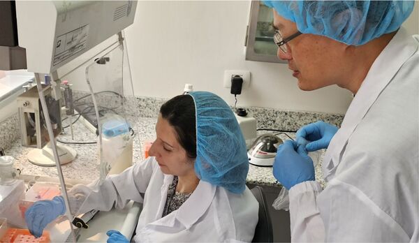 Concluye el Curso de Capacitación sobre Peste Porcina Africana en Paraguay