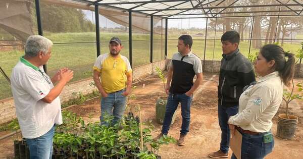 La Nación / Muestran producción de cítricos