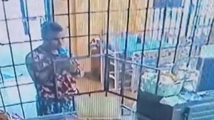 Hombre con pañal y biberón roba comercio en tres minutos