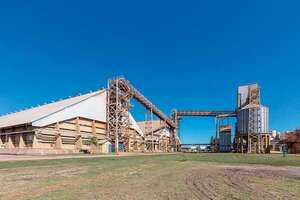 Día de la industria: Pese a cosecha de soja casi récord, señalan que fue año crítico para la agroindustria  - Economía - ABC Color