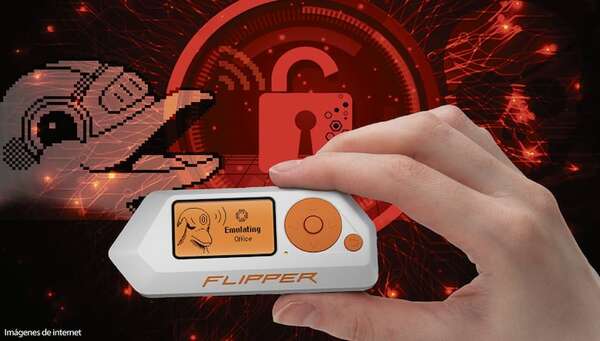 Perspectivas fraudulentas del Flipper Zero - Económico - ABC Color