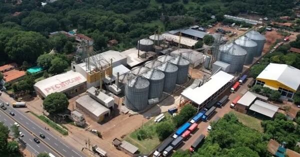 El camino de Pechugón hacia la excelencia, de granja familiar a líder nacional