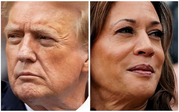 Encuesta NYT/Siena muestra que Harris y Trump están prácticamente empatados en la recta final de la carrera de 2024 - El Independiente