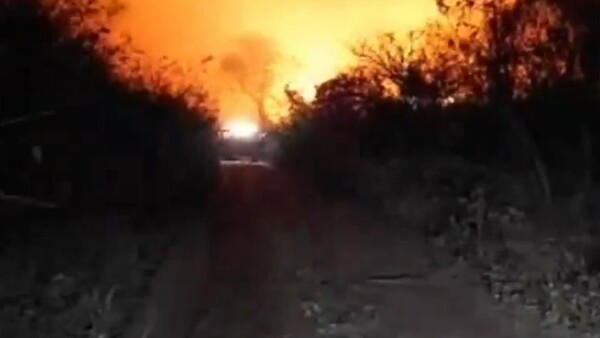 Video: Bomberos combaten voraz incendio forestal que ingresó al Chaco desde Bolivia