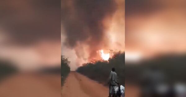 Diario HOY | Incendios forestales vuelven a azotar el Chaco