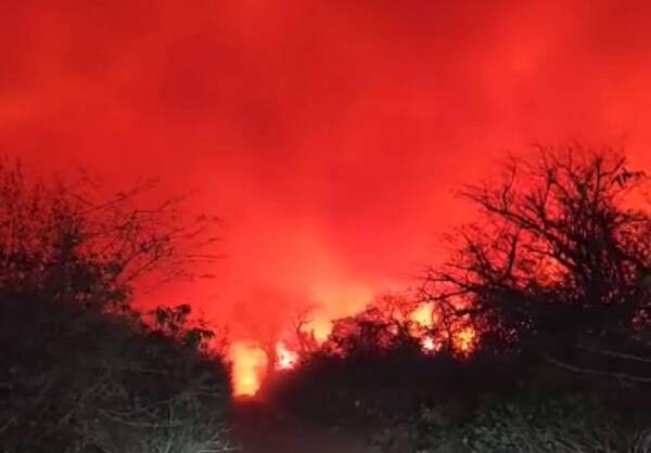 Situación crítica: arde el Chaco en medio de terribles incendios y se “seca” el río Paraguay