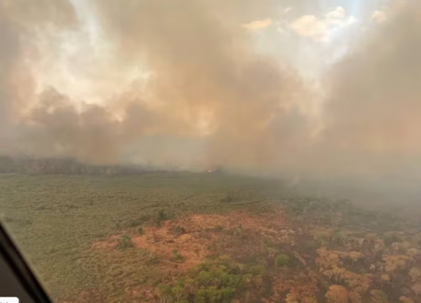 Paraguay está en alerta mientras los incendios forestales de Bolivia avanzan hacia la frontera