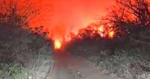 La Nación / Aire contaminado de incendio forestal ya llega a Asunción
