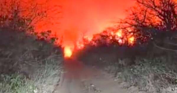 La Nación / Aire contaminado de incendio forestal ya llega a Asunción
