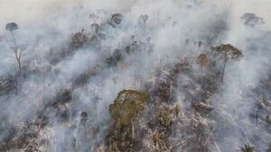 Brasil: Incendios y deforestación alcanzan niveles récord en dos décadas