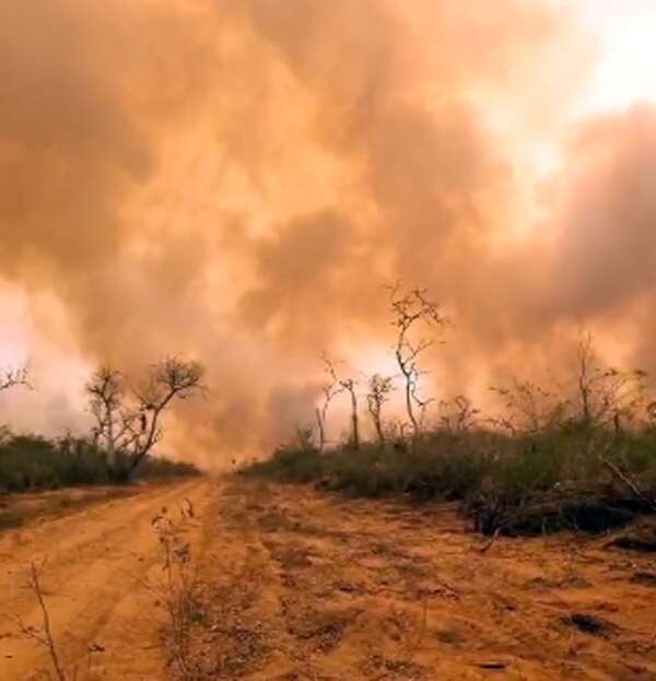 Incendio en el Chaco: Mades tiene un “indicio” de cómo se originó - Nacionales - ABC Color
