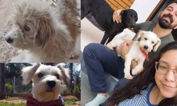 De víctima de maltrato a miembro de una familia: la transformadora historia de Rocky – Prensa 5