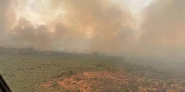 Fuego imparable en Cerro Chovoreca: Bomberos luchan sin agua ni vehículos