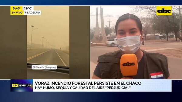Video: Incendio forestal persiste en el Chaco - ABC Noticias - ABC Color